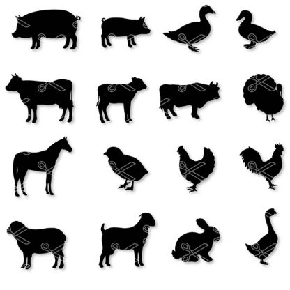 Farm Animal SVG Files