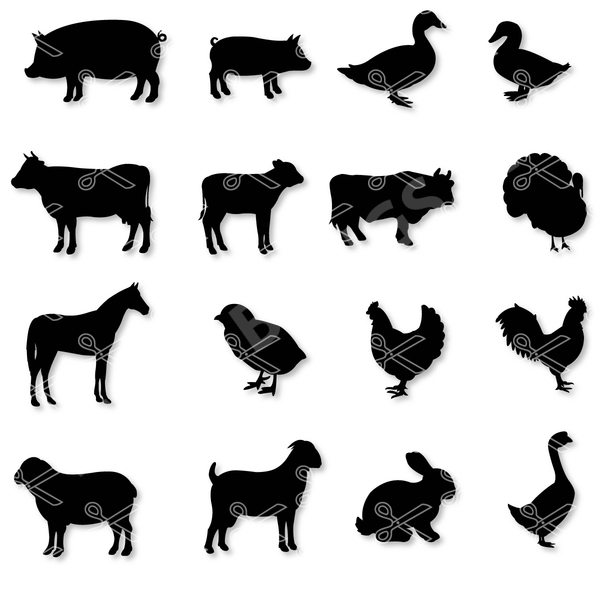 Free Free 334 Baby Farm Animal Svg Free SVG PNG EPS DXF File