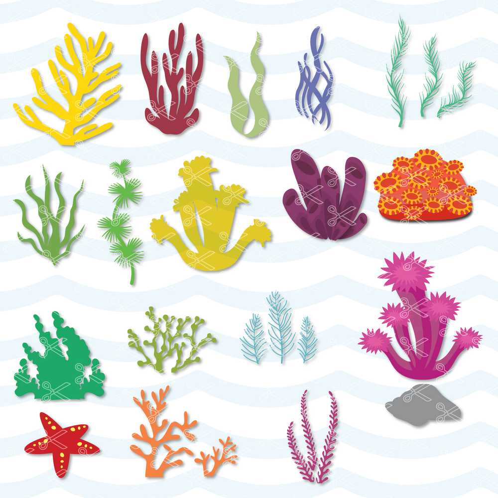 Seaweed SVG Cut File