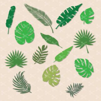 Jungle Tropical Leaves SVG Cut Files