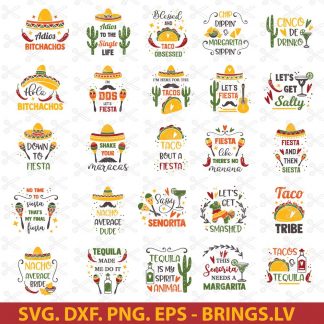 festival funny spanish taco cut file tacos quote svg quote mexican cinco de mayo svg Instant SVG/DXF/PNG Fiesta tshirt dxf party