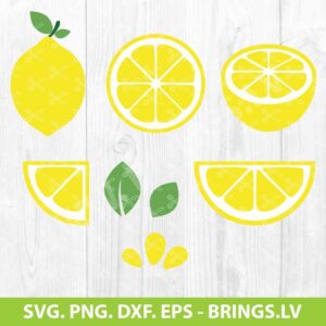 Lemon Slice SVG