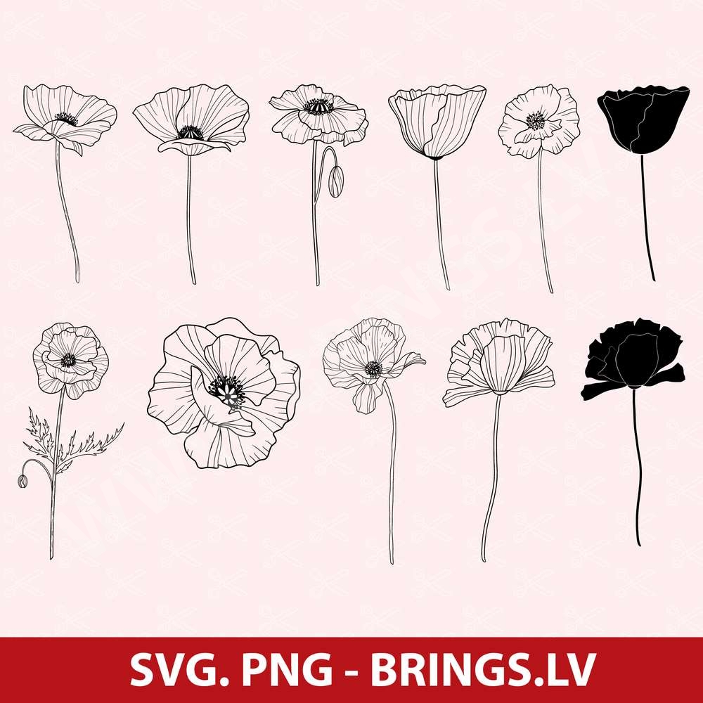 Poppy SVG