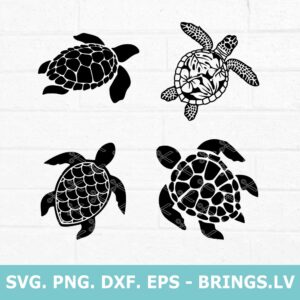 Sea Turtle SVG