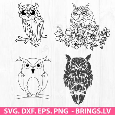 OWL SVG