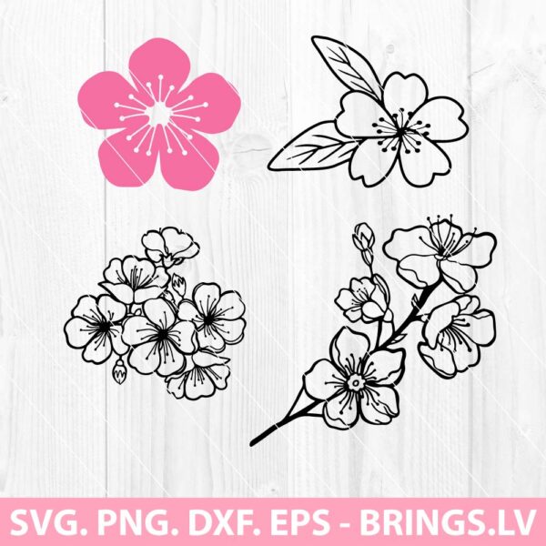 Cherry Blossom SVG