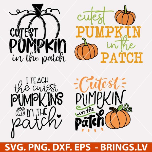 Cutest Pumpkin in the Patch SVG
