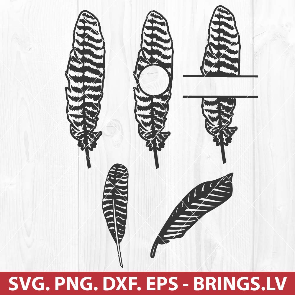 Turkey Feather SVG