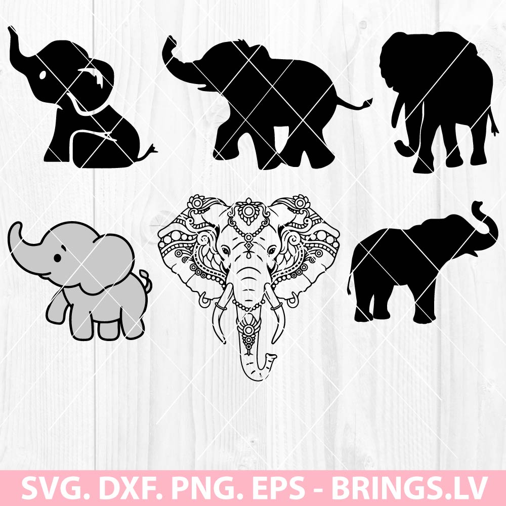 Elephant SVG Bundle
