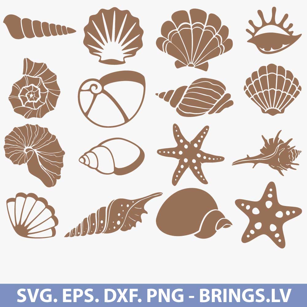 Seashell SVG Cut File