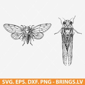Cicada SVG Bundle