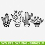 Cactus SVG Cut File, Cute Cactus SVG, Cactus Clipart, Cactus Vector, PNG, DXF, EPS, Cutting Files for Cricut and Silhouette, Instant Download