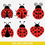 Ladybug SVG Bundle, Ladybug Svg, Ladybug Png, Ladybug Clipart, Garden Bug Vector, Cute Animal SVG, Kids Craft Design