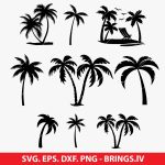 Palm Tree SVG, Tropical SVG, Beach SVG, Summer Cut File, Hawaii Design, Vacation SVG, Coconut Tree SVG, Cricut Tropical Design, Silhouette Cameo File
