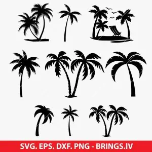 Palm Tree SVG Bundle